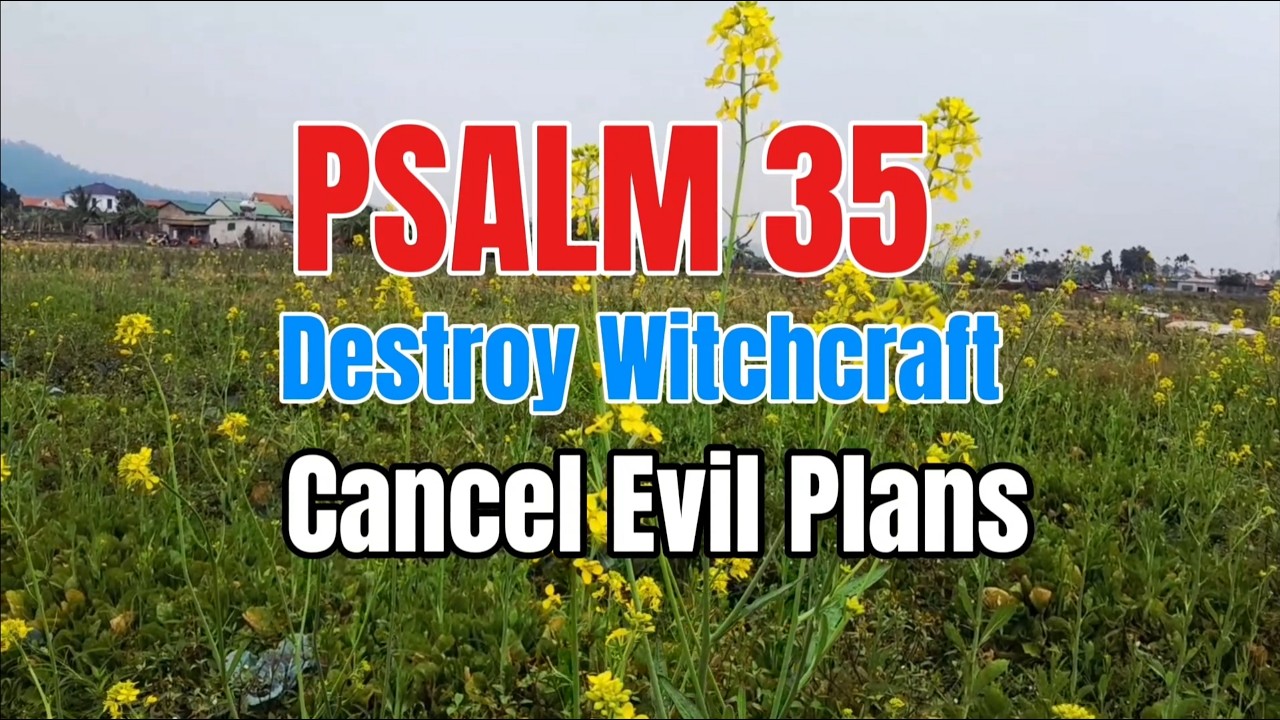 Psalm 35: Prayer to Destroy Witchcraft & Cancel Evil Plans | Unshakable Faith