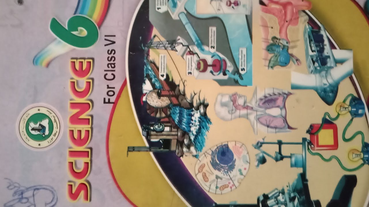 All information about Science book of Class 6