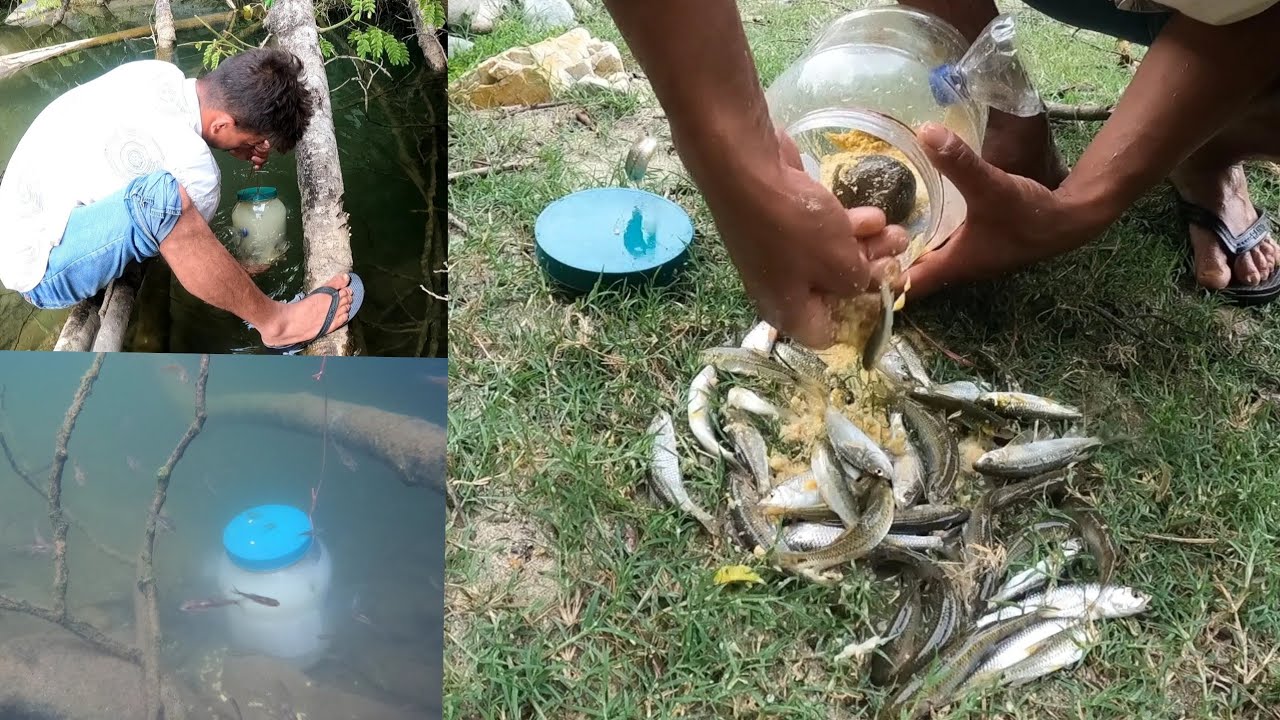 Amazing Fish Trap- Wow! Catch With chocolate Plastic Bottle