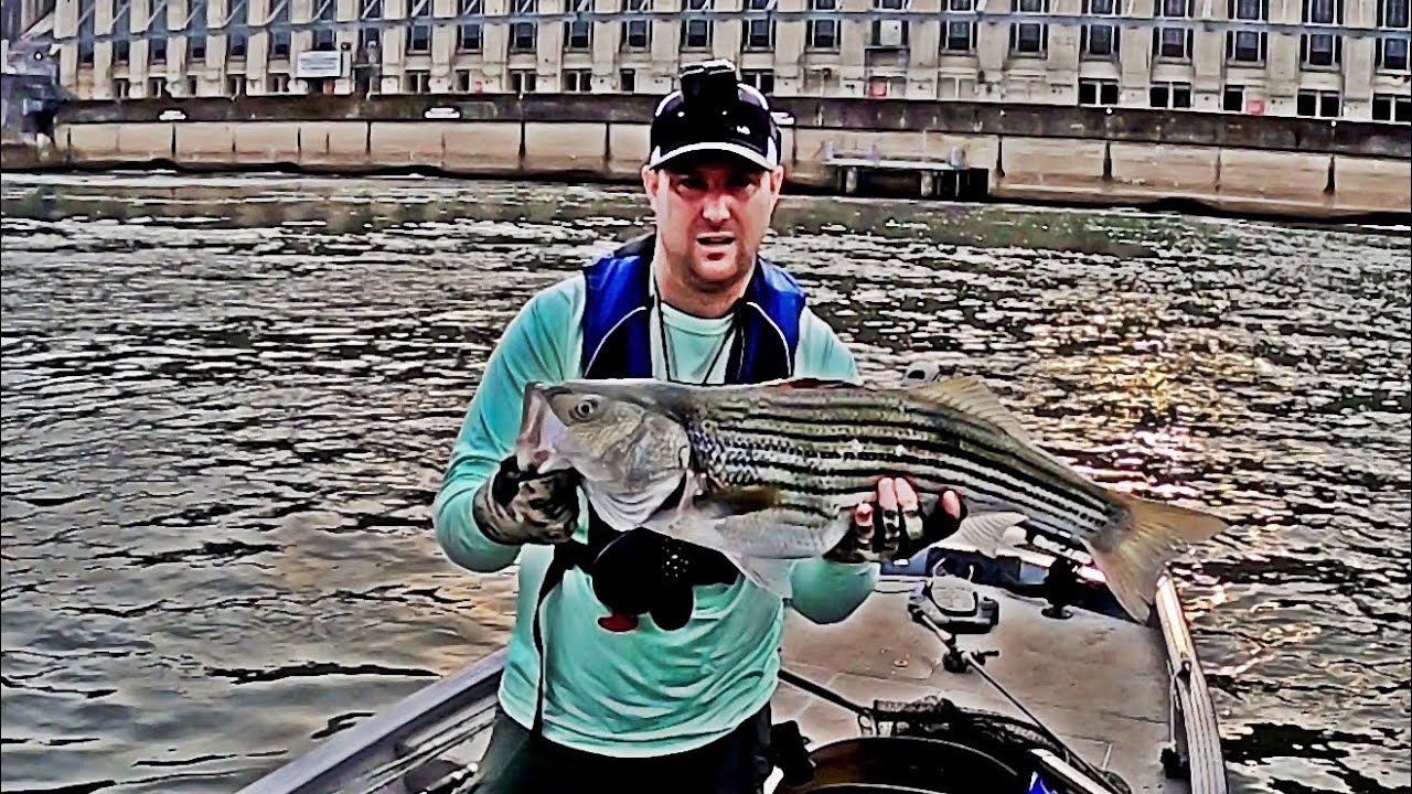 Catching Double Digit STRIPER Below Wilson Dam