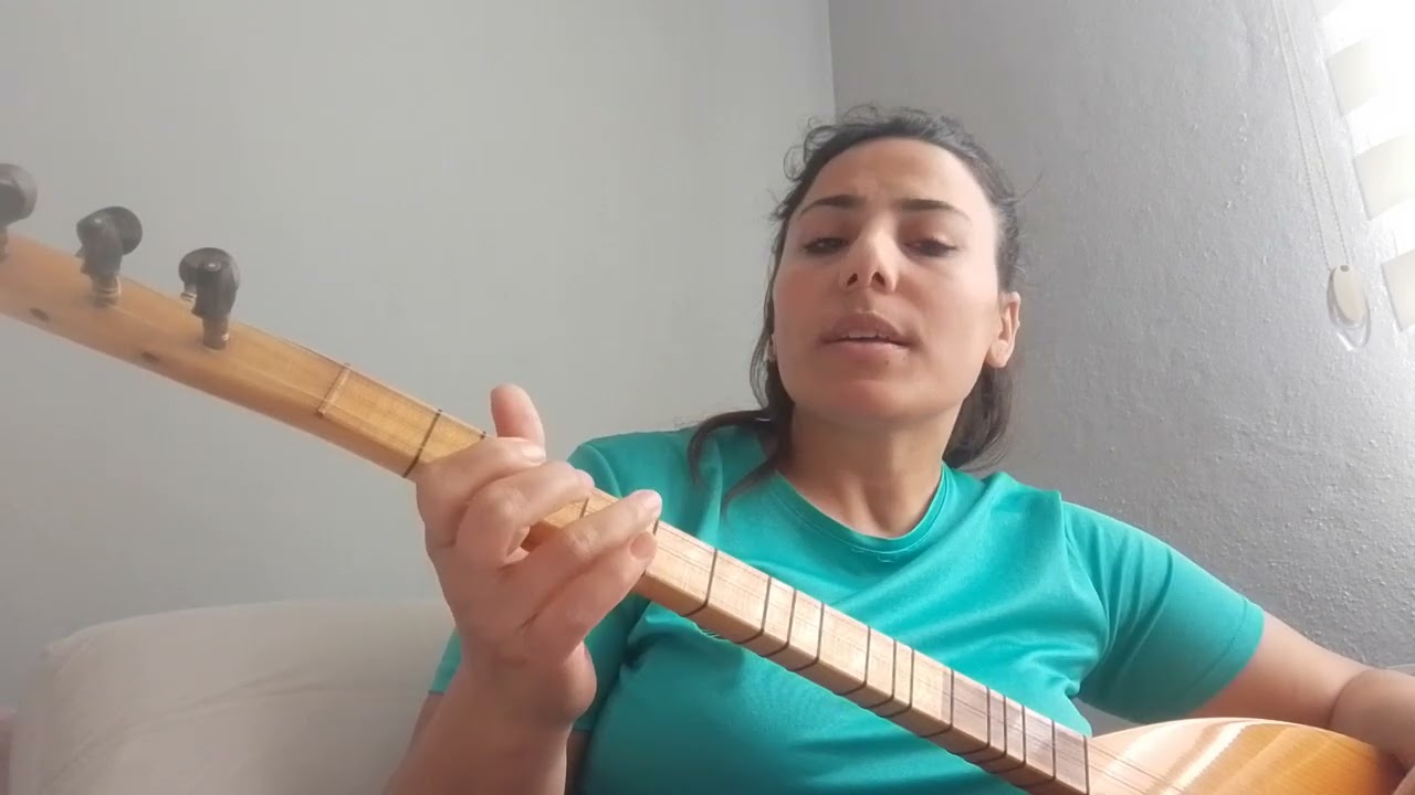 Aynur Doğan 