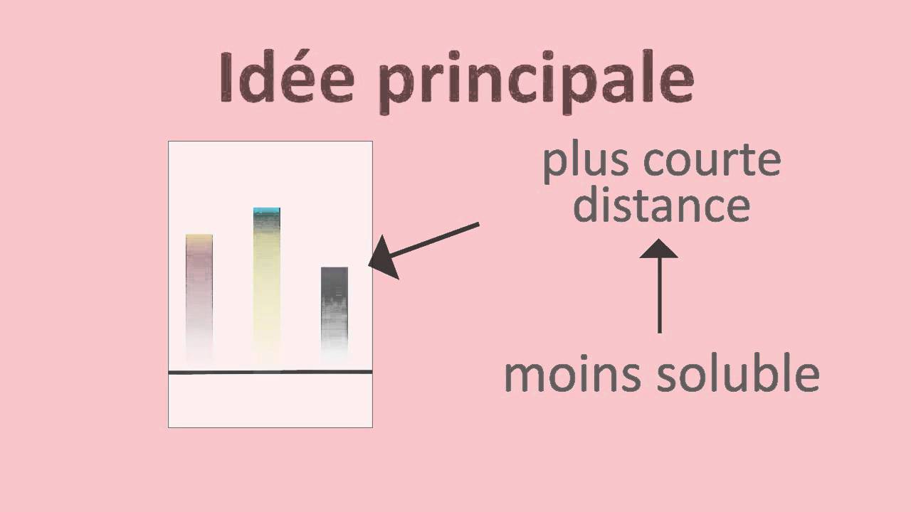 Chromatographie sur papier et sur couche mince | FuseSchool + Unisciel