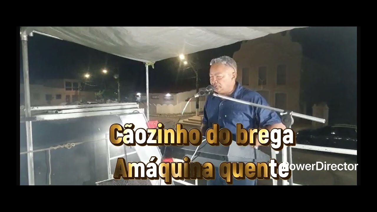 Cãozinho do brega 
