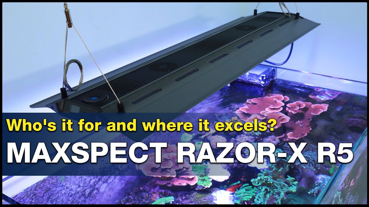 Does lighting your reef seem expensive? Maybe a Maxspect Razor-X R5 will change your mind!