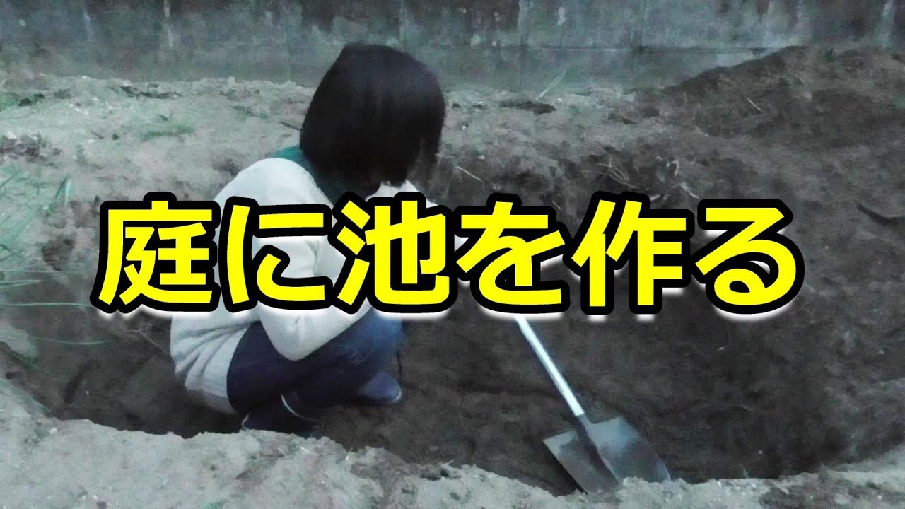庭に池を作る