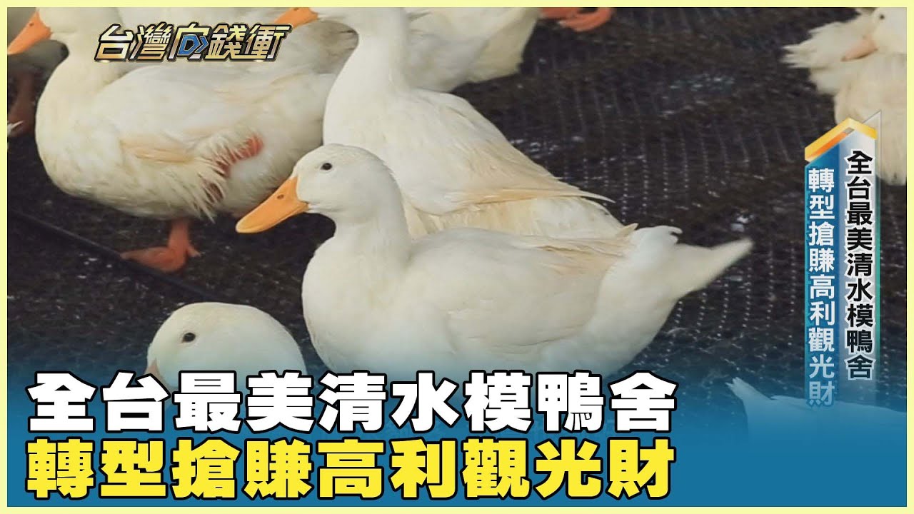 全台最美清水模鴨舍　轉型搶賺高利觀光財 20260124【台灣向錢衝】PART4