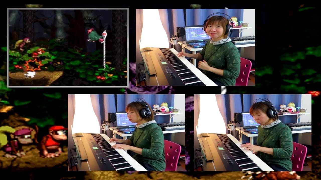 Donkey Kong Country 2 - Forest Interlude (JemyMusic Cover)