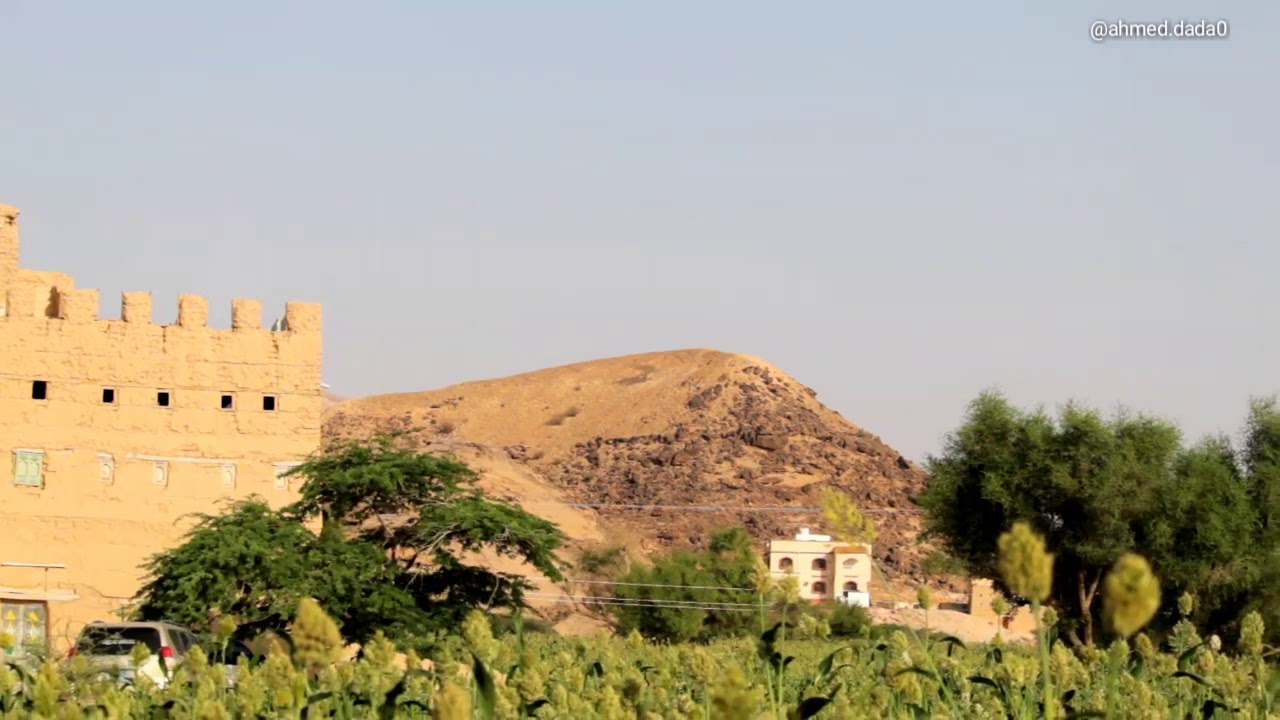مناظر من قرية باكبيره محافظة شبوة🌳