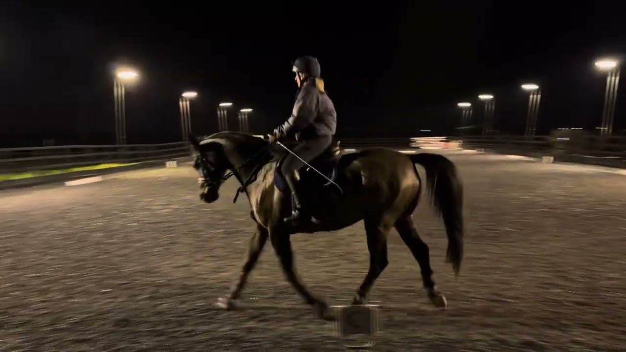 BD novice 2 2024 main arena Winter Championships 2024