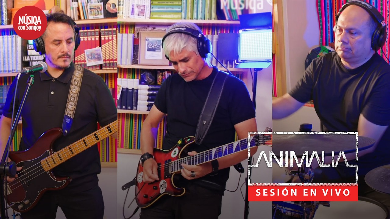 ANIMALIA (Sesión en vivo en Sonqoy) - 2025