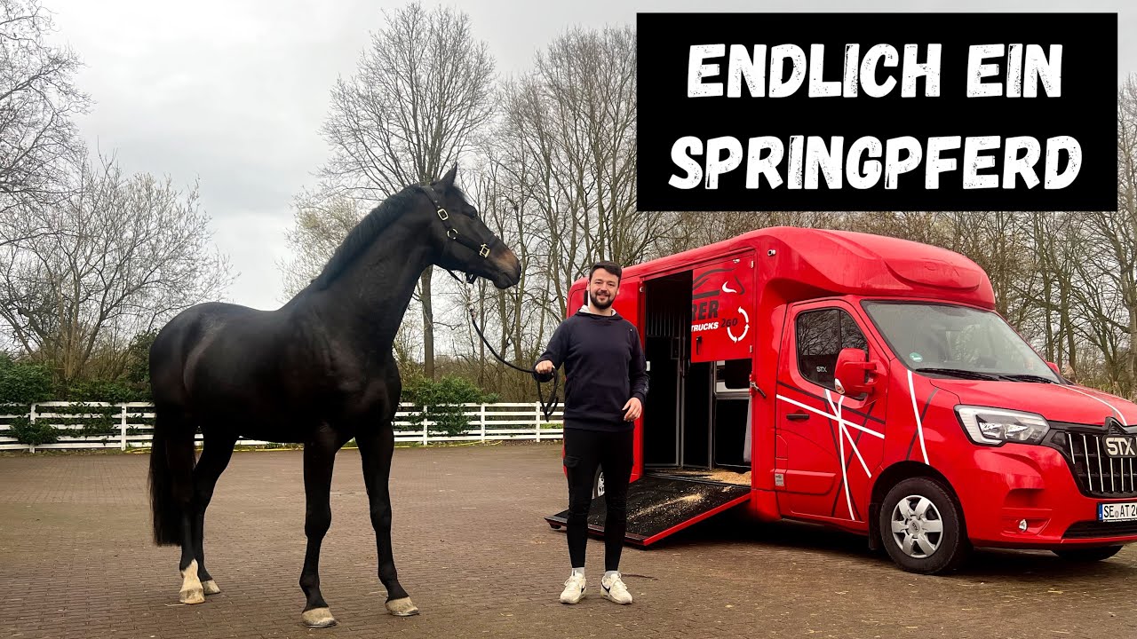 Ein neues Springpferd im Stall 🤩 Herzlich Willkommen O’Bentley 🐴 | Team Inleobo
