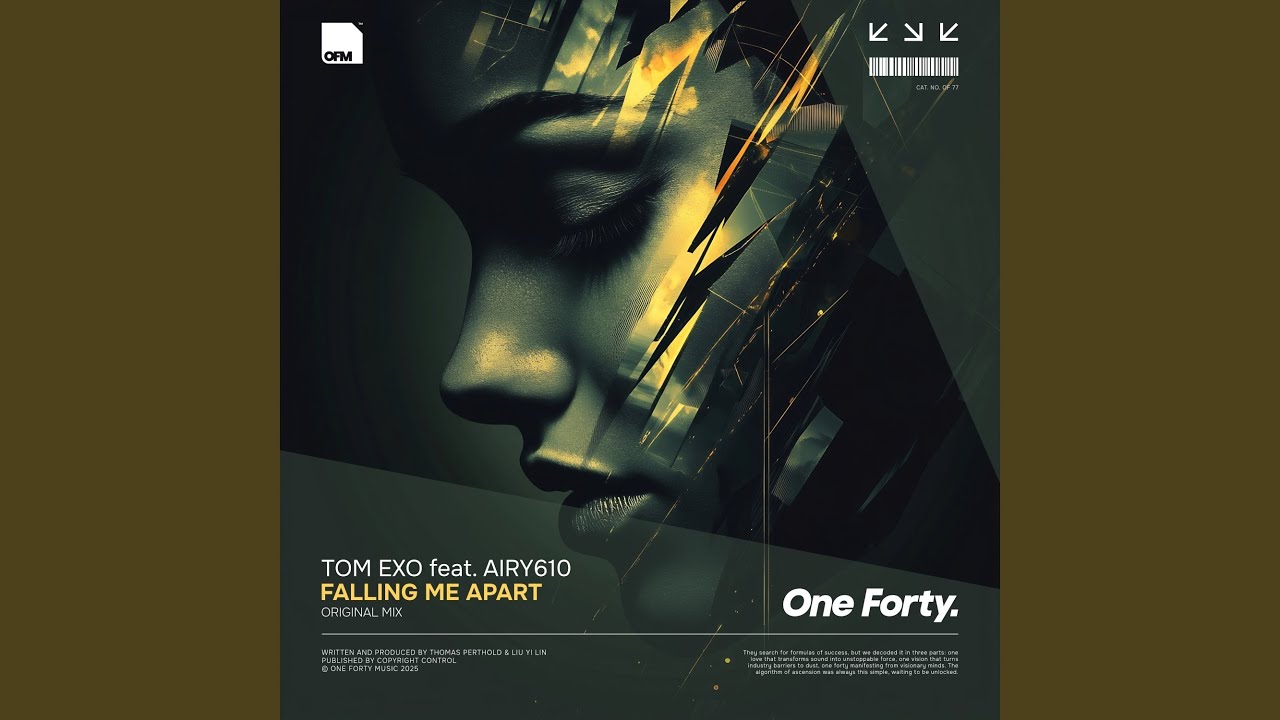 Falling Me Apart (Original Mix)