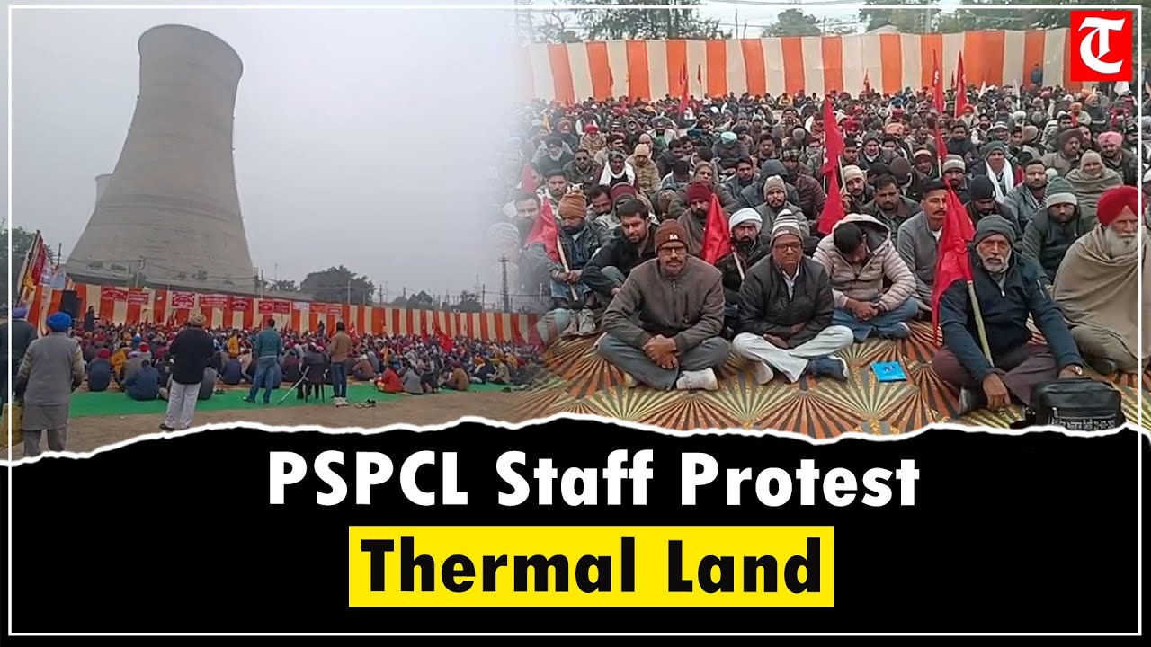 Bathinda: PSPCL Employees, Engineers Protest Sale of Thermal Plant Land Outside Power Station