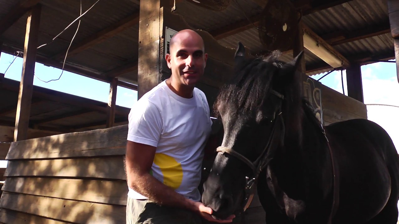 EXPLORE LA RÉUNION à cheval !