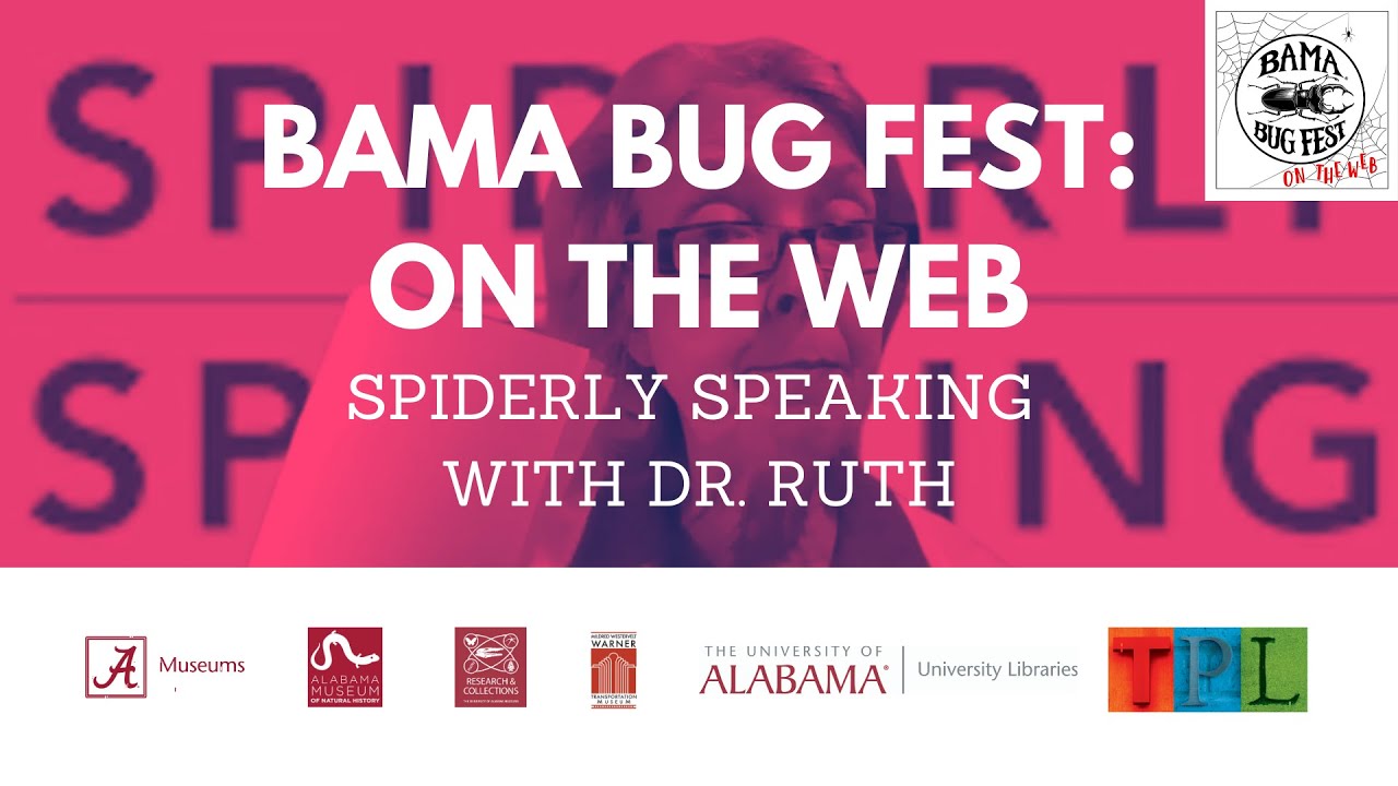 Bama Bug Fest: On the Web - Spiderly Speaking with Dr. Ruth