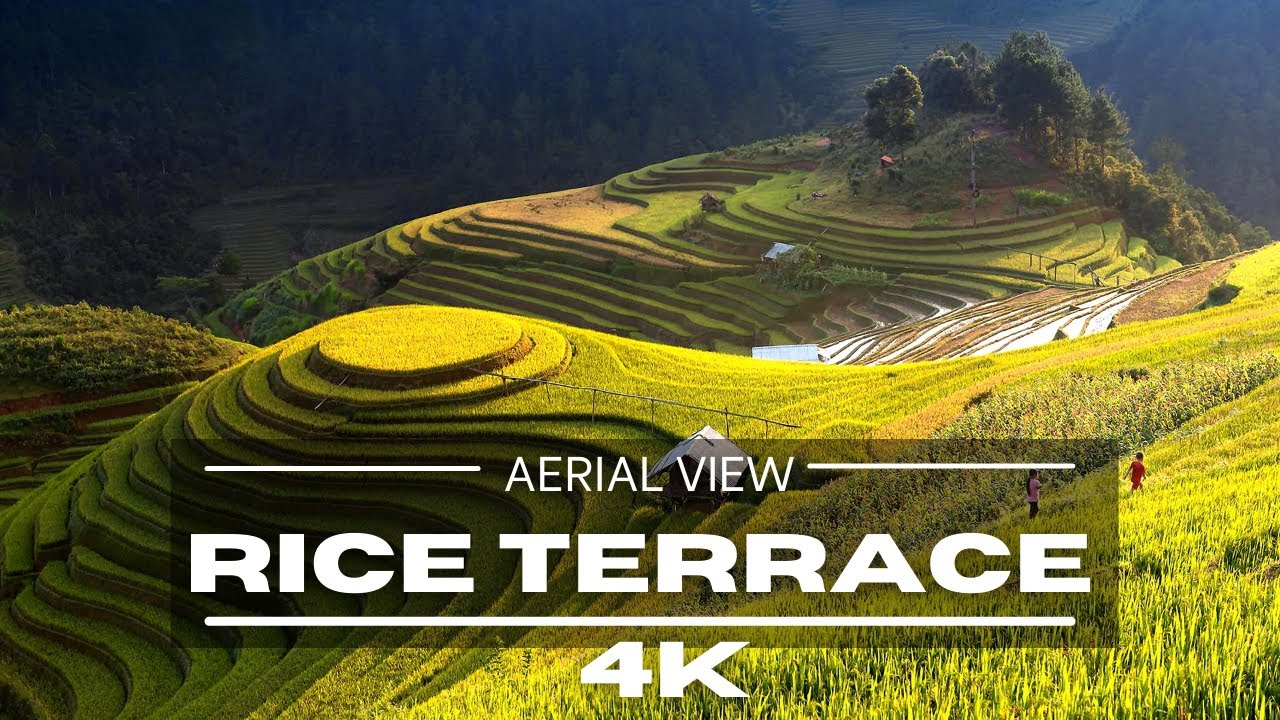 Cinematic Rice Terrace 4K by Drone