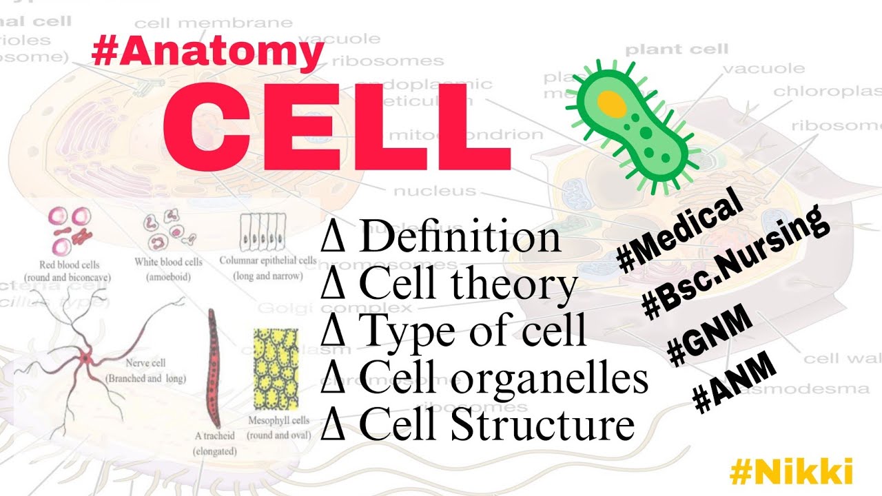 CELL || Definition of cell || Cell theory || Type of cell || Structure || Anatomy of cell