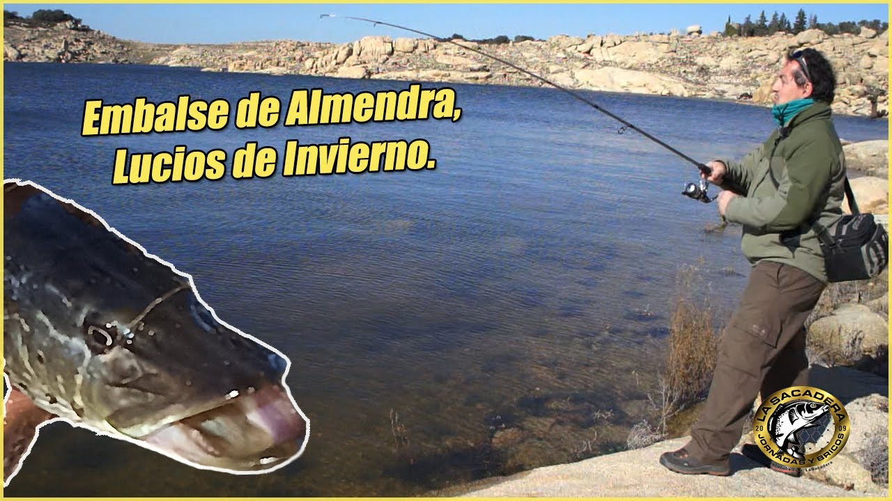 Embalse de Almendra, Lucios de Invierno.