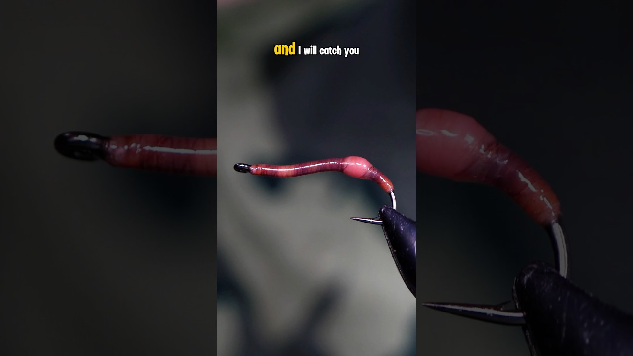 Realistic Earthworm! #whitingfarms #naturesspiritflytying #fly #flytying
