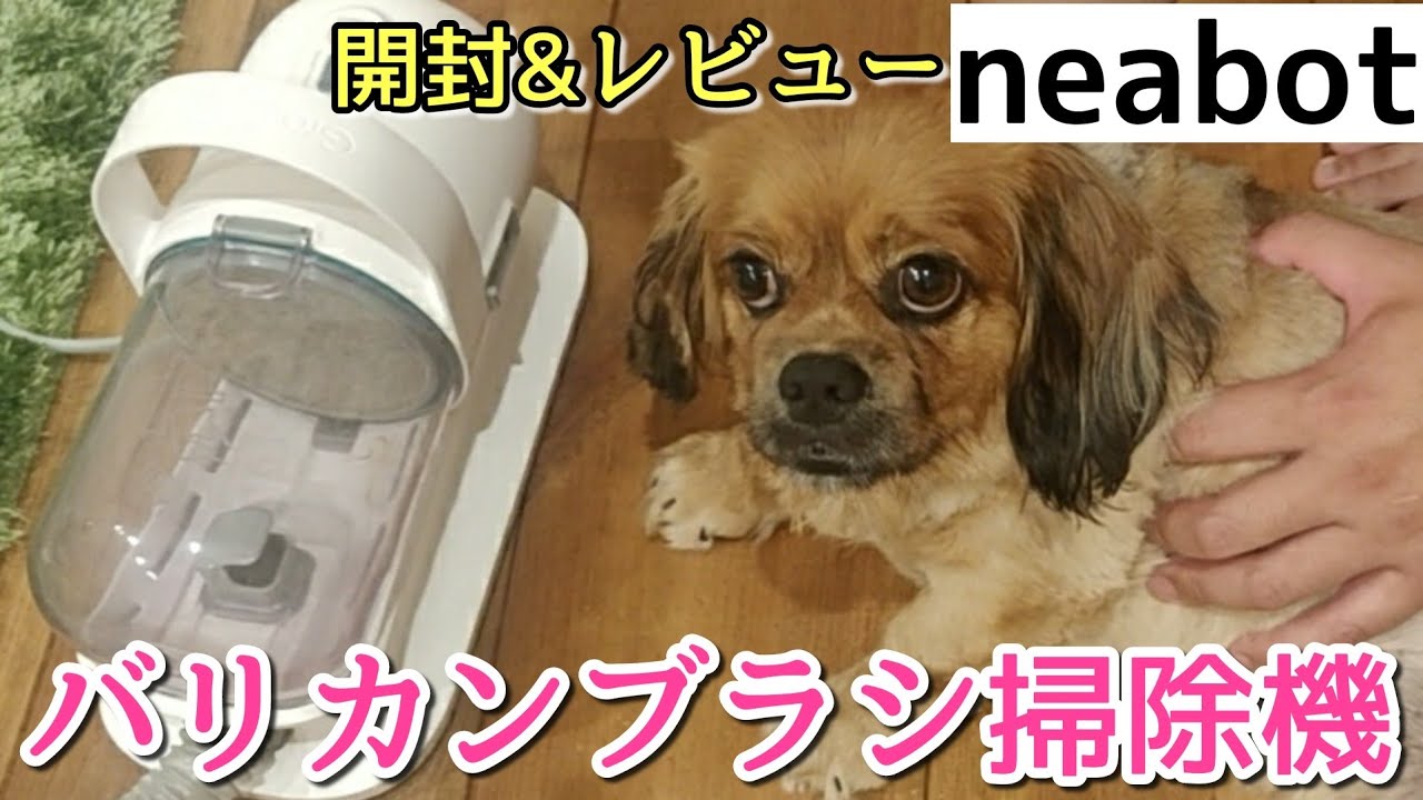 【neabot】バリカンブラシ掃除機レビュー！ワンコのトリミングが楽チンに♬