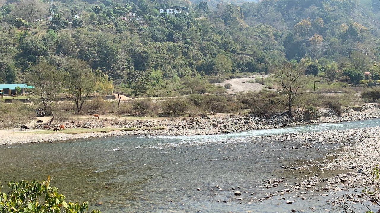 13 Nali land for sale at Marchulla Jhula pool #jimcorbett #uttarakhand call 7073994575