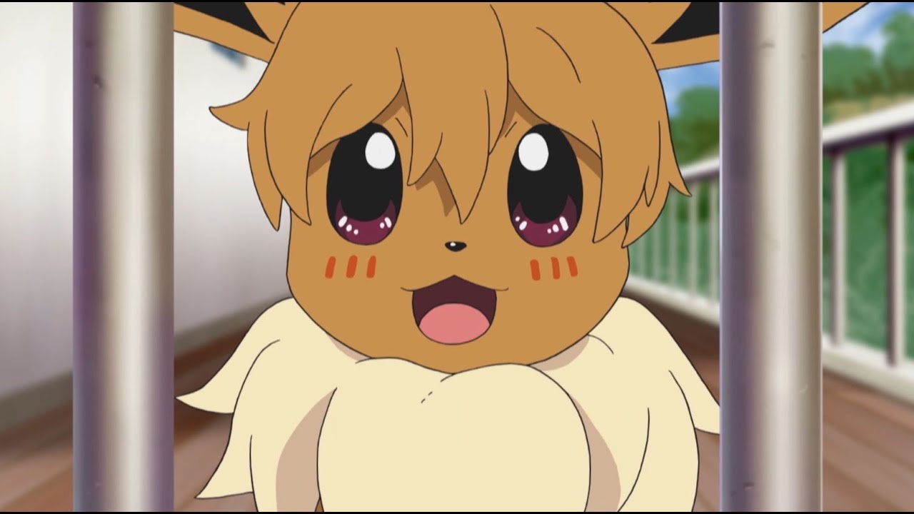 Little Eevee encounters Hungry Houndour – Pokémon The Series: Sun & Moon—Ultra Legends | Short