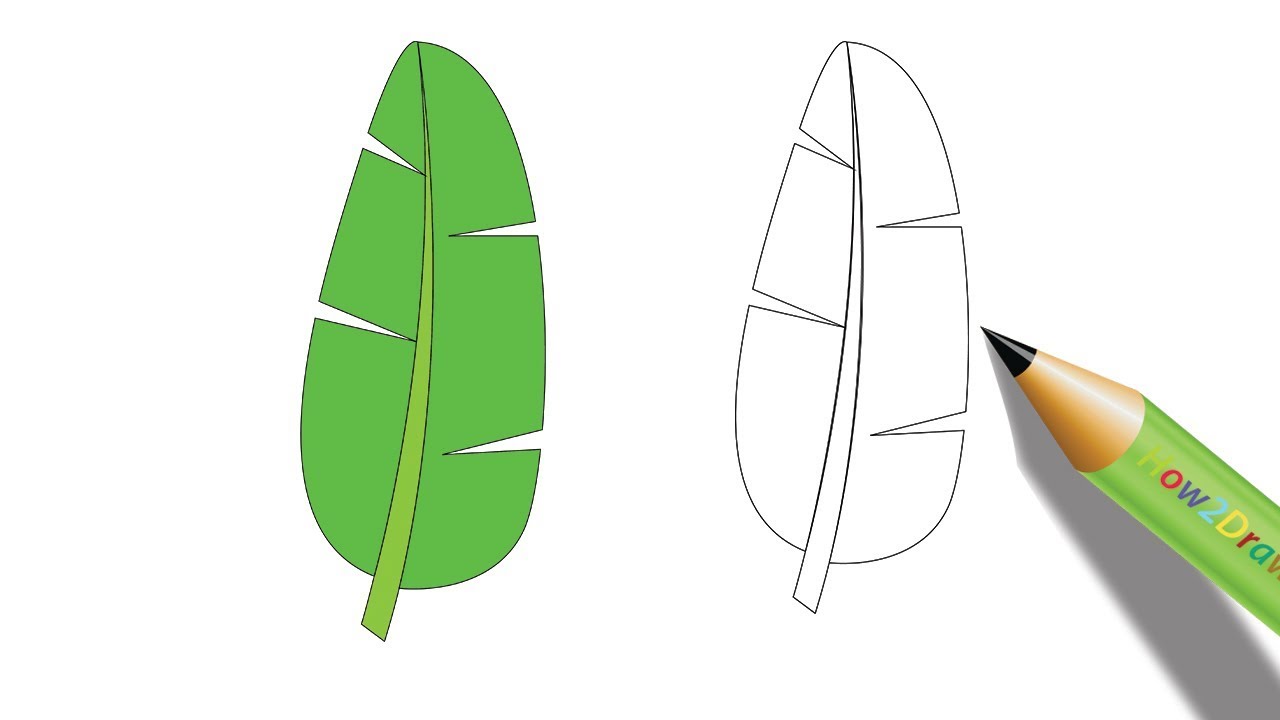 How to Draw a Banana Leaf Easy Drawing - Coloring Page