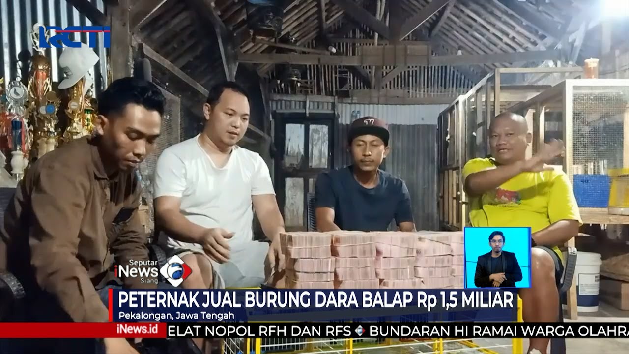 Fantastis, Peternak Jual Burung Dara Balap Rp1,5 Miliar #SIS 26/09