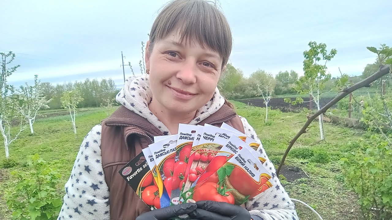 Посів 🍅 у відкритий ґрунт.15.04.2024р.