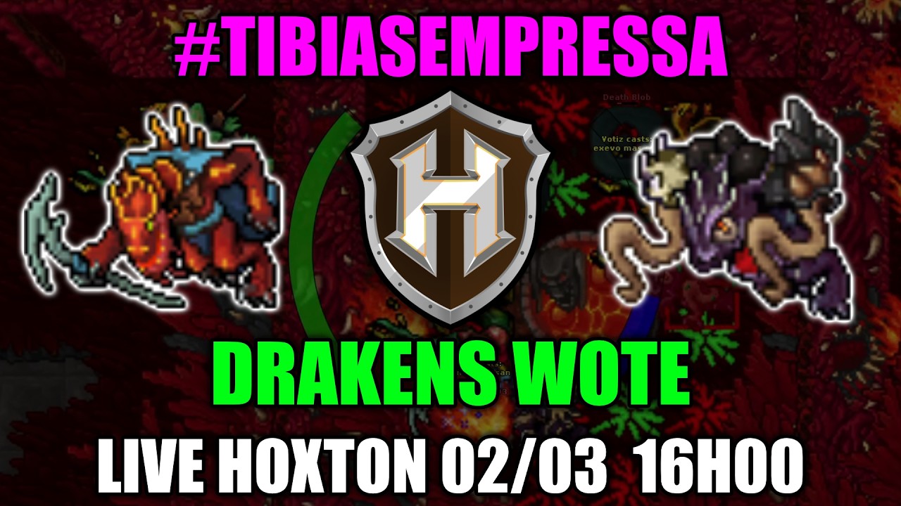 Hunts CLASSICAS de RP : DRAKENS WOTE #TibiaSemPressa