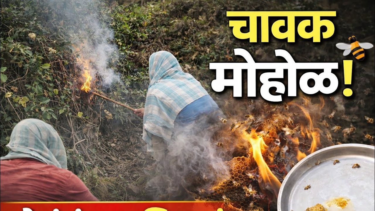 मोहोळ होळायला गेलो 😱 | चावक मोहोळ | थोडंसं मध खाल्लं 🍯 | गावाकडची खरी गोष्ट