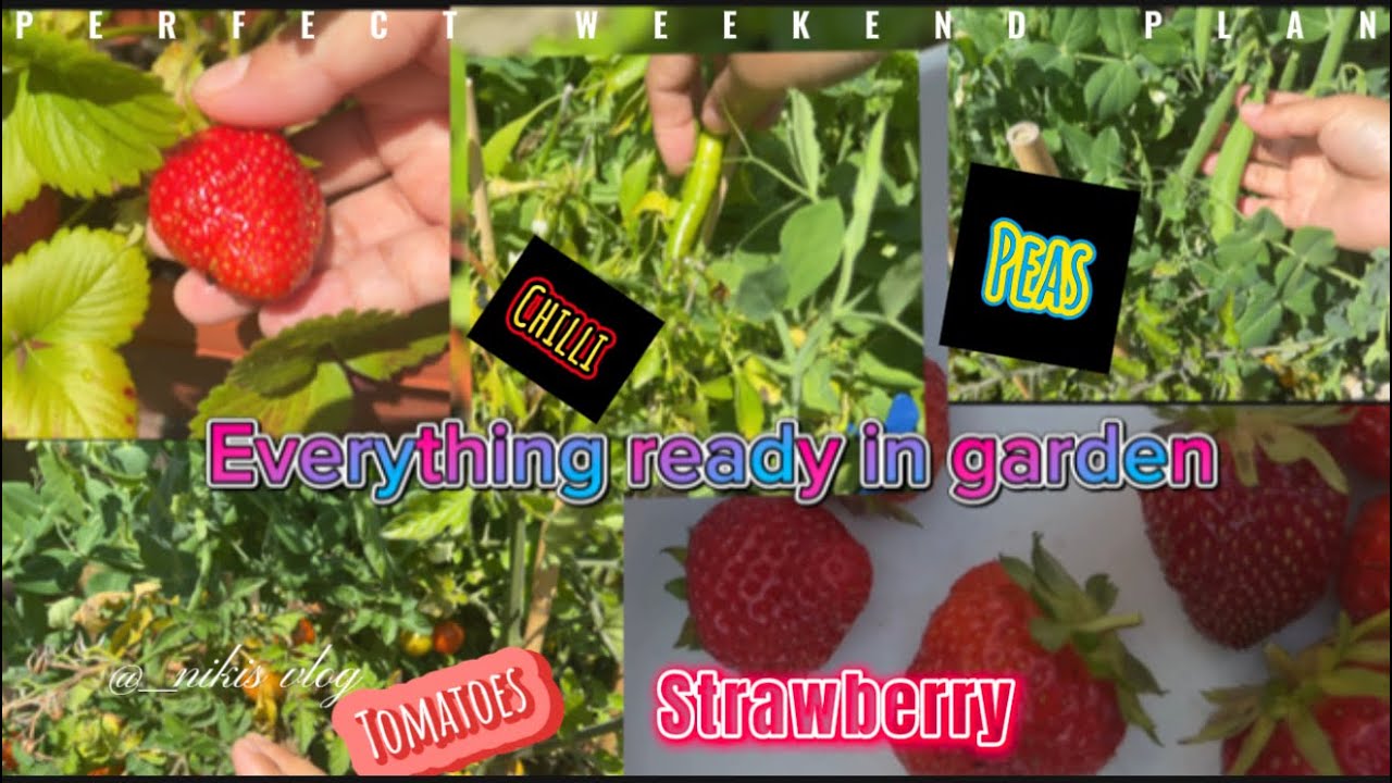 Garden Tour , Rapid fruit and blossom surprises.