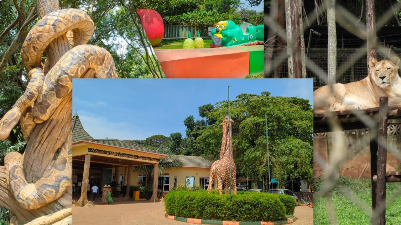 INSIDE ENTEBBE ZOO - UGANDA | A DETAILED TOUR AROUND UGANDA WILDLIFE CONSERVATION EDUCATION CENTER 