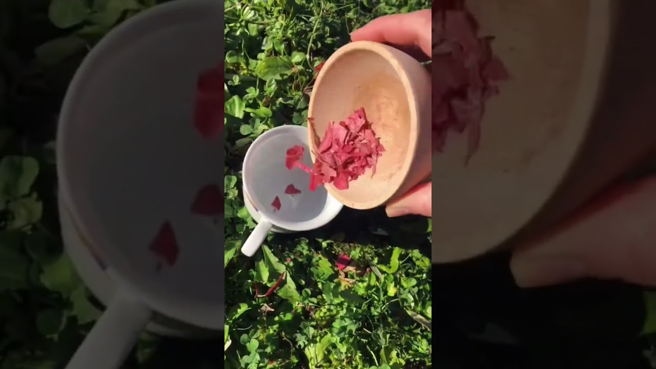 Making natural paint with dry red leaves in the garden #hanselah #naturalpaint #cottagecoreart