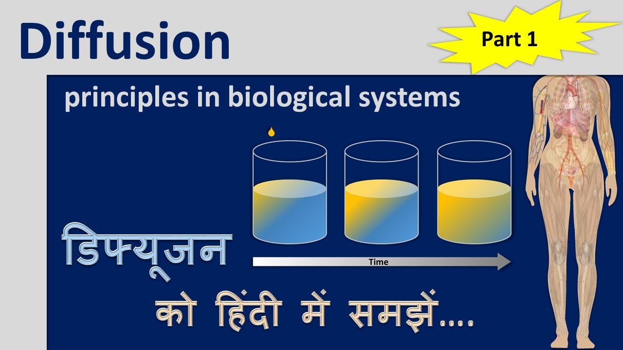 Diffusion principles in biological systems Part 1 |Diffusion हिंदी में समझें |Physical Pharmaceutics