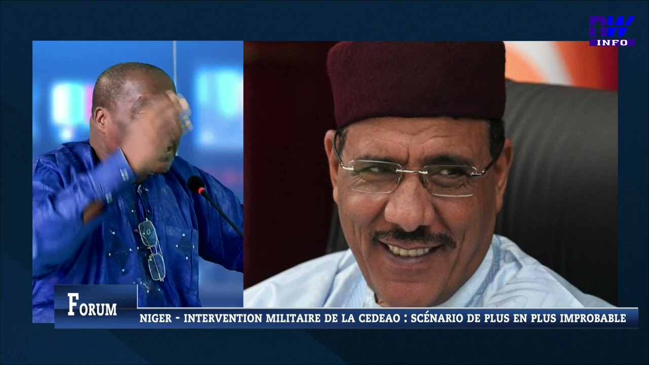 Niger - Intervention militaire de la Cedeao : scénario de plus en plus improbable  (partie 2)