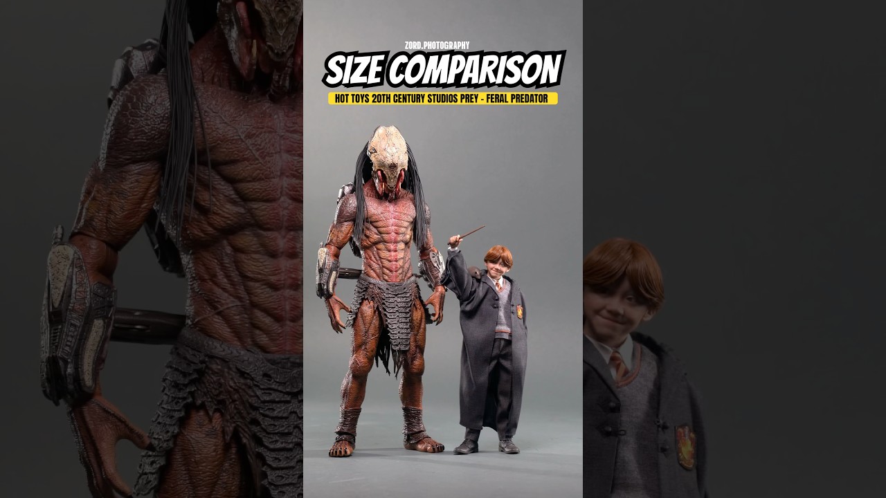 Size Comparison: Hot Toys 20th Century Studios Prey - Feral Predator #hottoys #predator