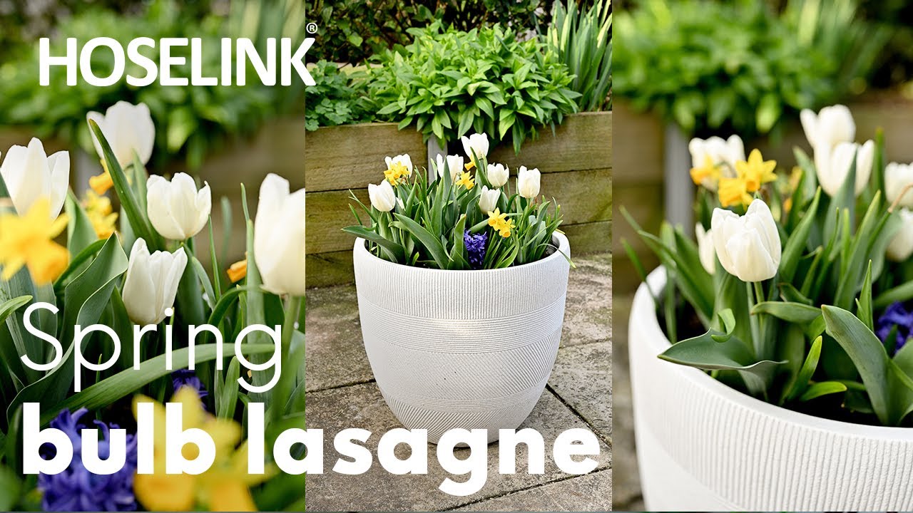 Autumn Projects: Make a Spring-flowering Bulb Lasagne | How-to Garden Series | Episode 19