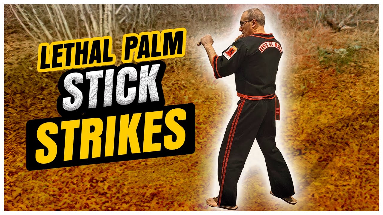 PALM STICK for SELF DEFENSE / FILIPINO MARTIAL ARTS / Lorne Therrien