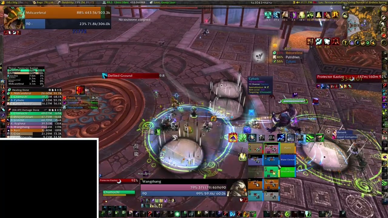 wow mop h protectors of the endless10 20251030