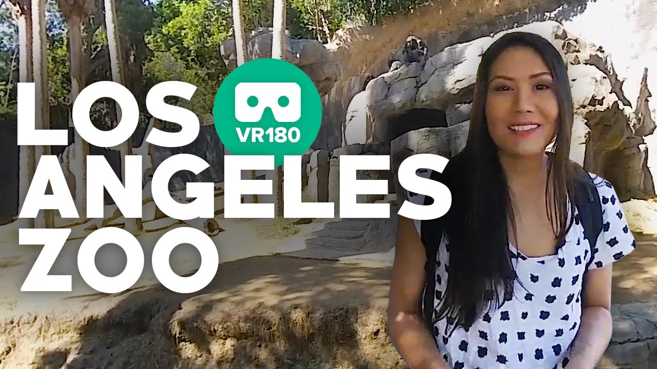 VR180 Los Angeles Zoo Tour | 3D VR Insta360 EVO