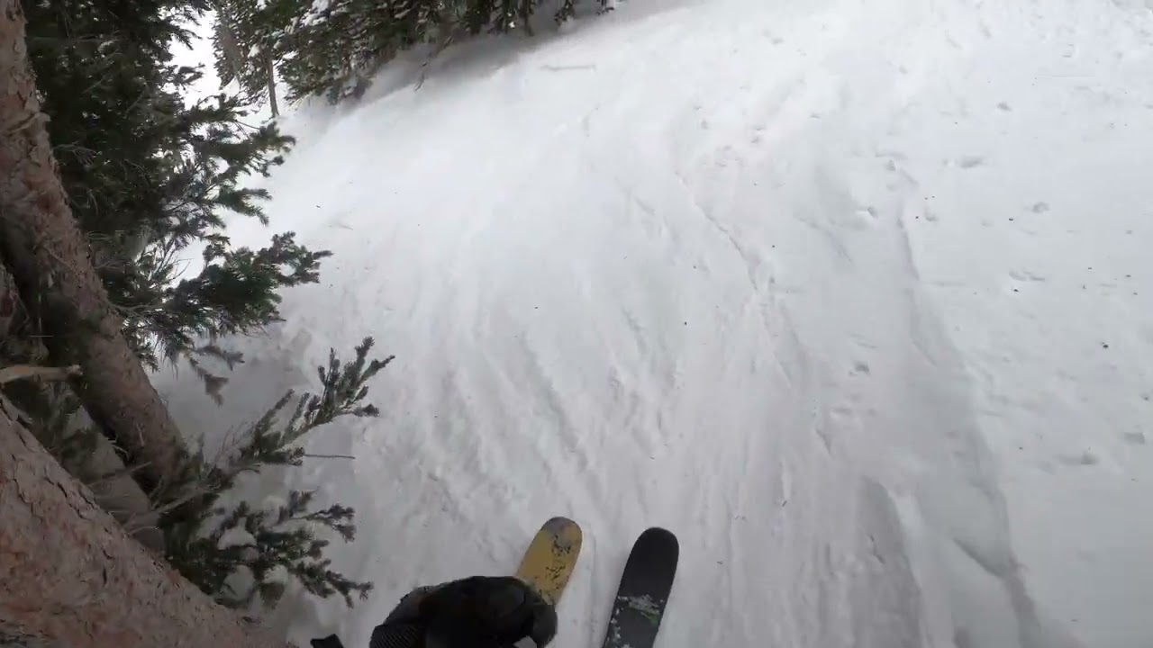 Alta Highlights