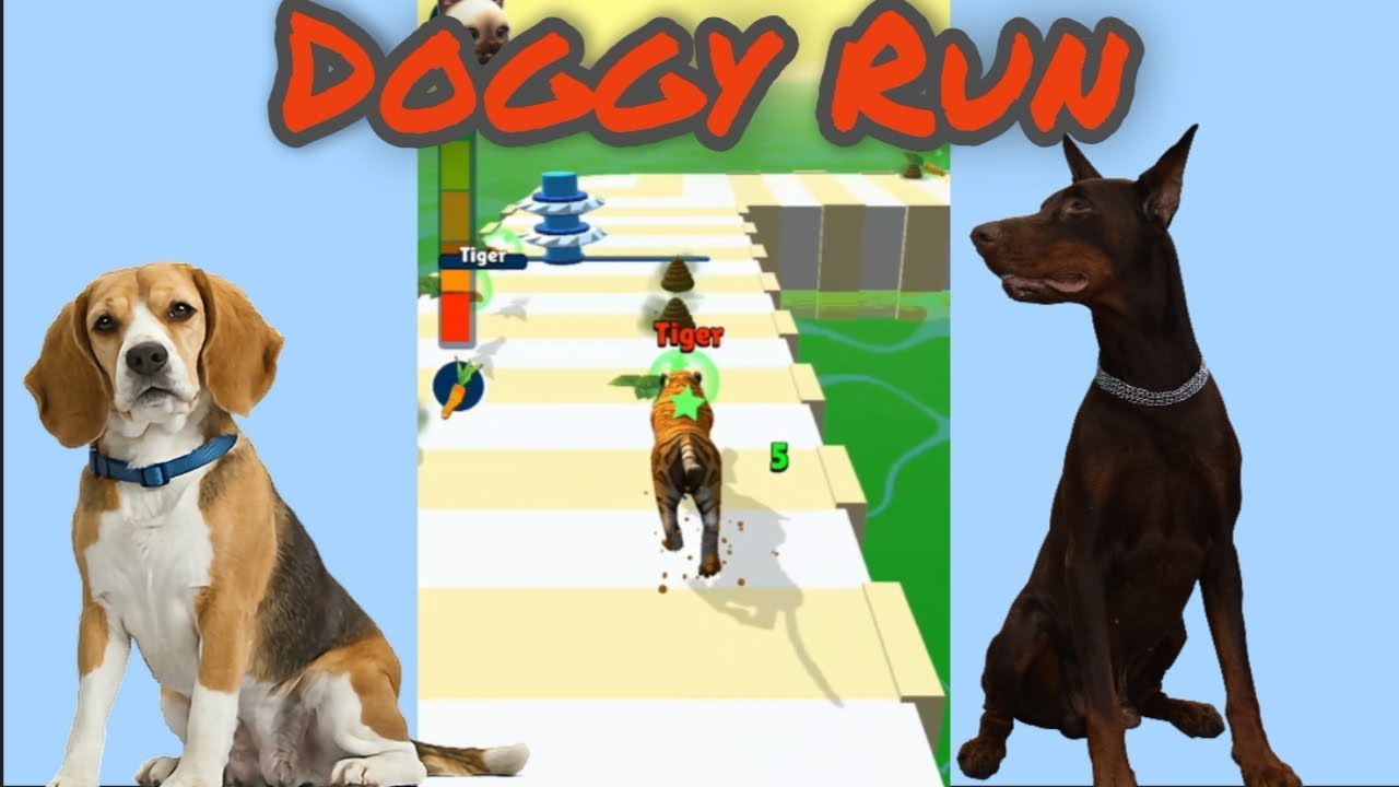 Doggy Run Game All levels #4