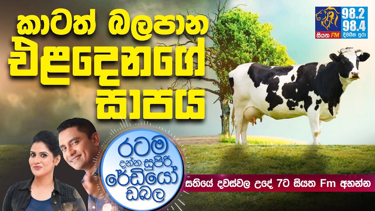@Siyatha FM MORNING SHOW-2020 11 23 | කාටත් බලපාන එළදෙනගේ සාපය