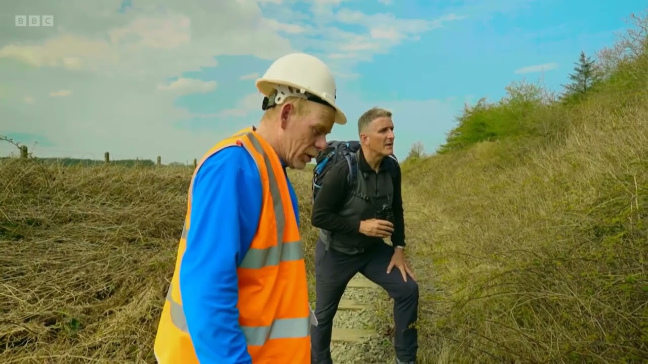 Adders on Iolo's Angelsey (2022)