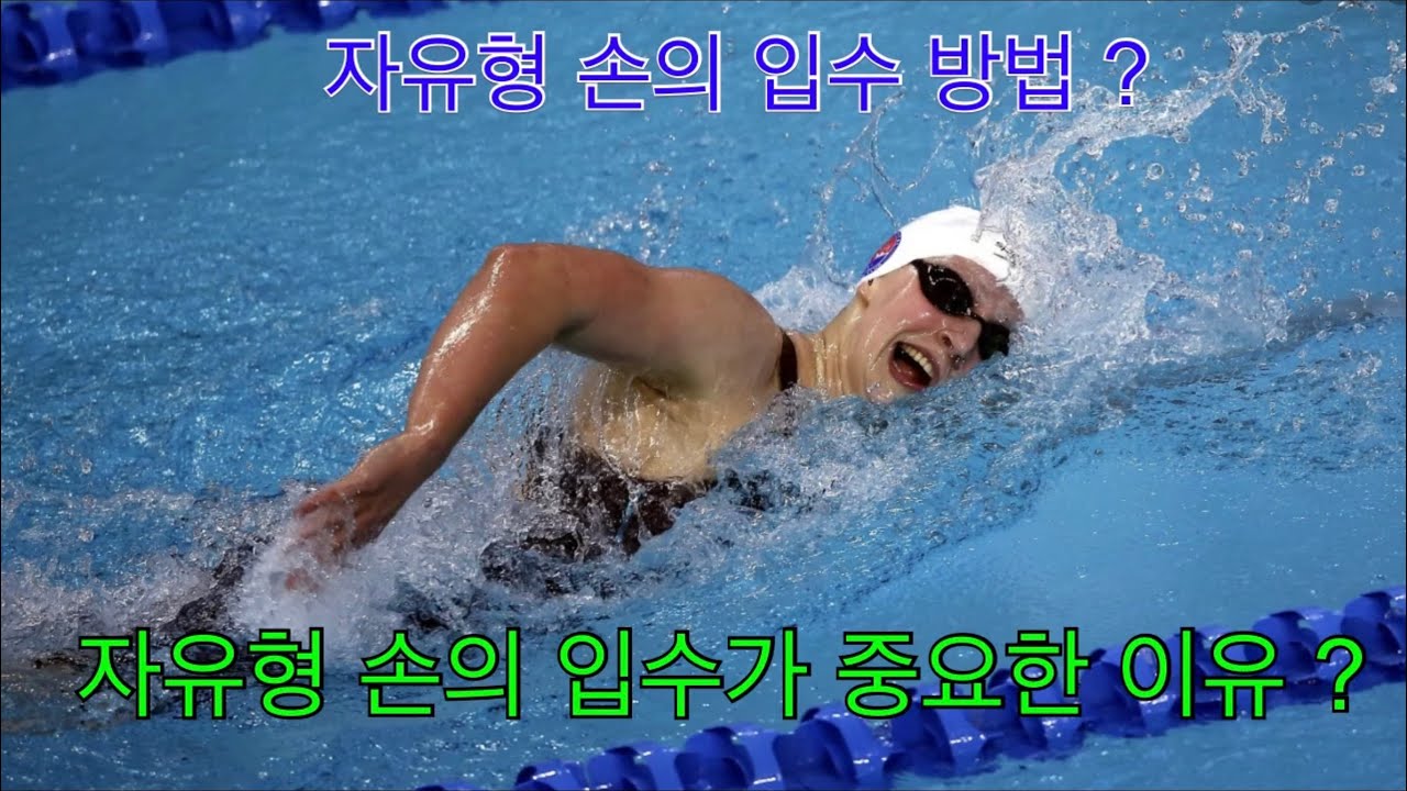 자유형 손의 입수 방법 ( 자유형 손의 입수 방법이 중요한 이유는 ? )