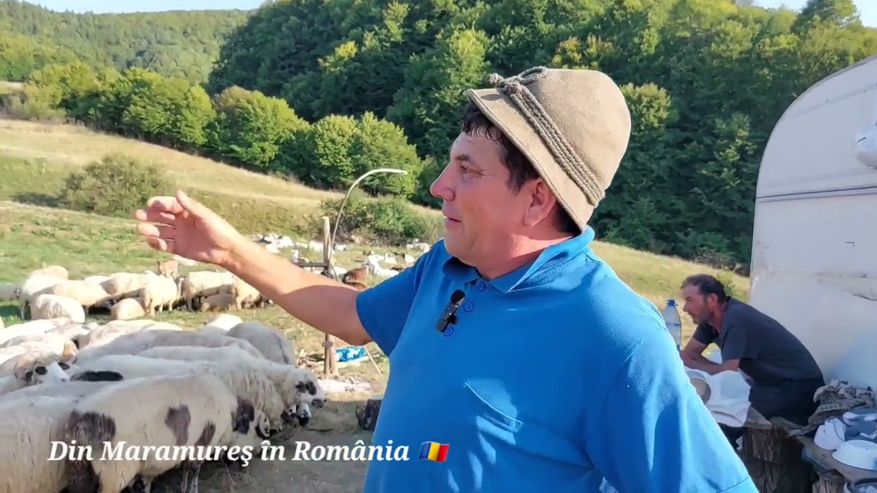Întâlnirea cu badea Nicolae, proprietar de oi din Libotin, Maramureş