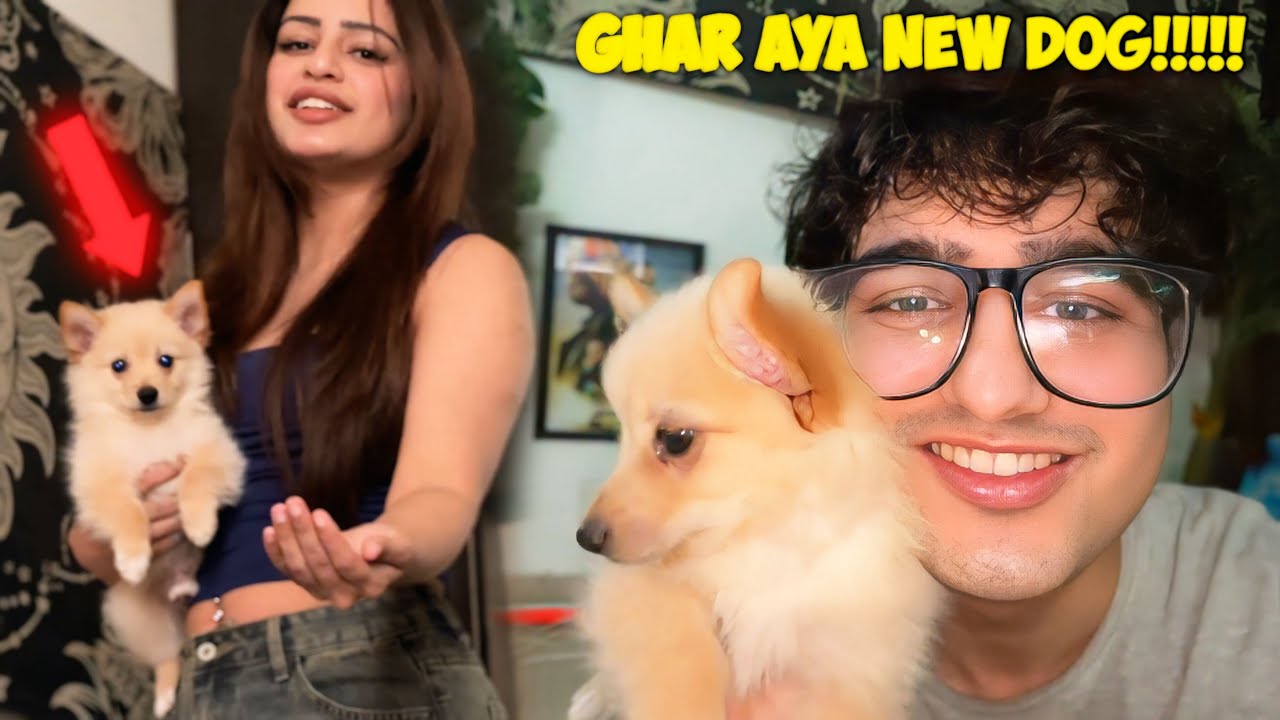 Aaj Ghar aya New DOG *Excited*