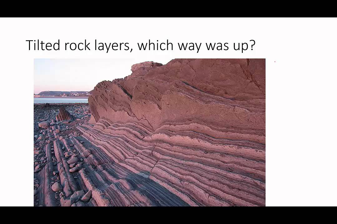 Sedimentary Structures
