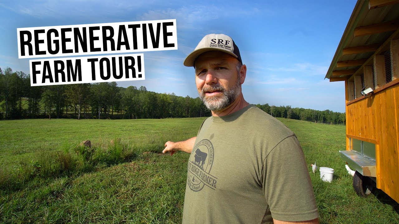 STONEY RIDGE FARMER'S mind blowing REGENERATIVE FARM project!